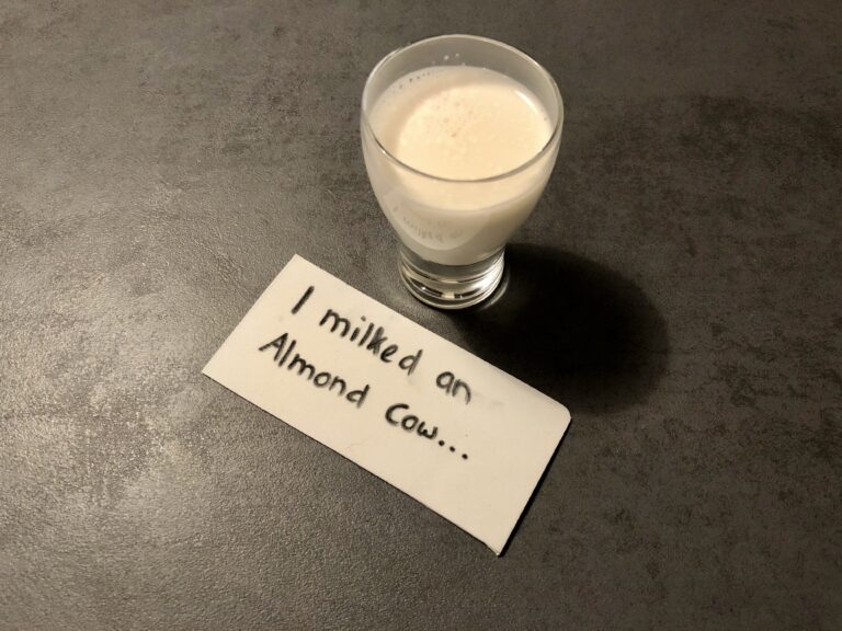 Mandeln – für einen gesunden Körper und Geist